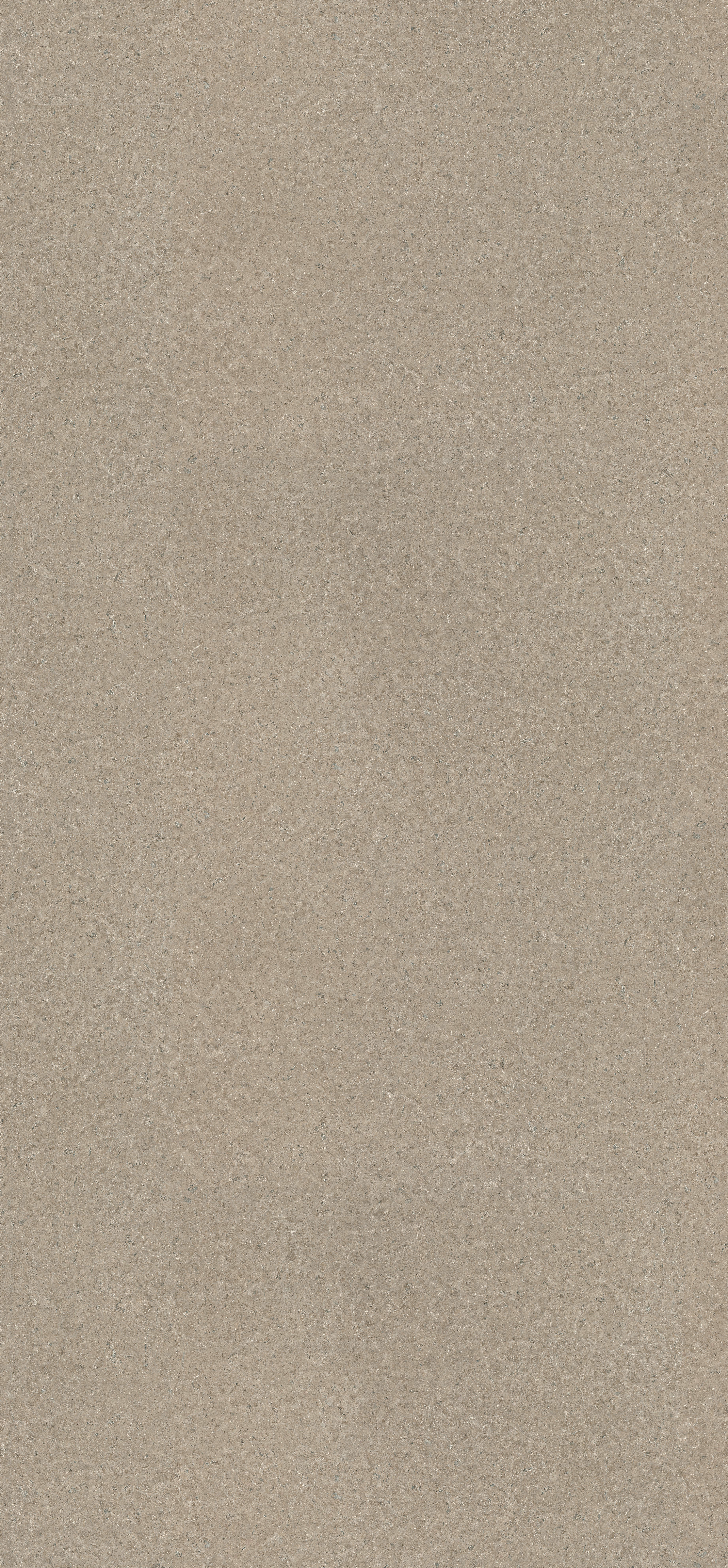 شيبورد ميلامين الماني ايجر